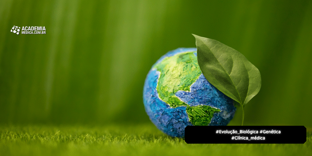 PLANTA VS. ANIMAL: Assinaturas Metabólicas Distintas