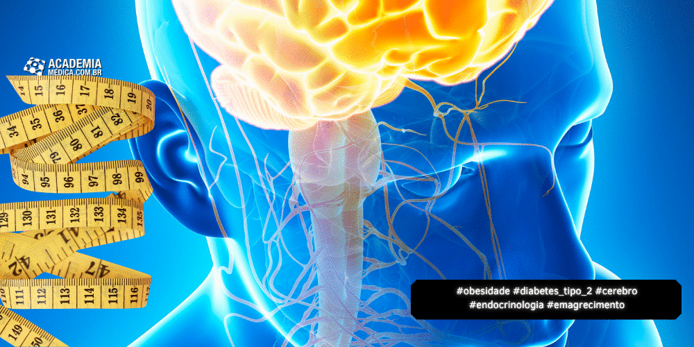 A Jornada da Obesidade Começa no Cérebro