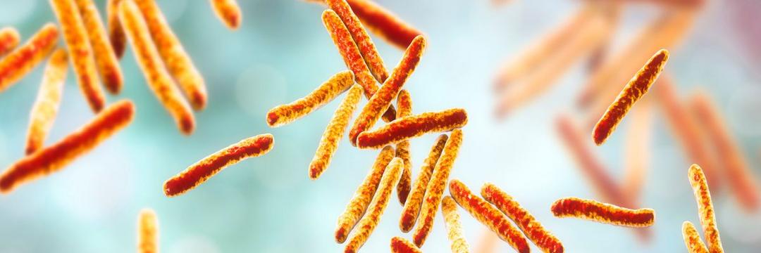 Pesquisadores da Fiocruz Bahia identificam enzima que pode desacelerar necrose por tuberculose 