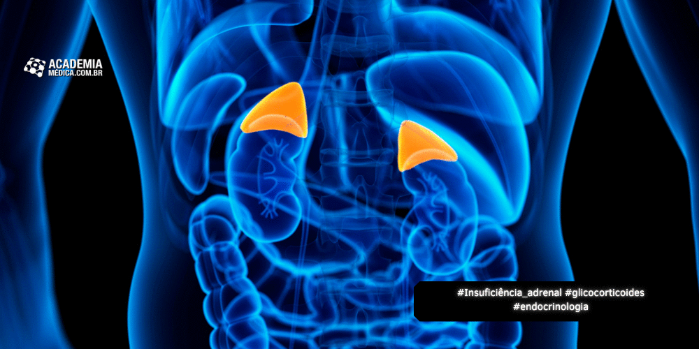 Insuficiência Adrenal Pós-Prednisolona