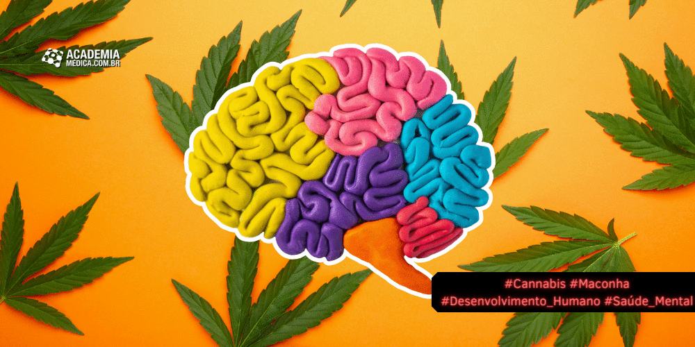 Como pesquisadores avaliam o efeito da cannabis no cérebro ao longo da vida