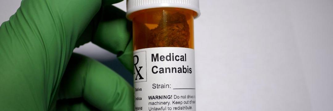 CFM deve abrir consulta pública sobre utilização de cannabis medicinal