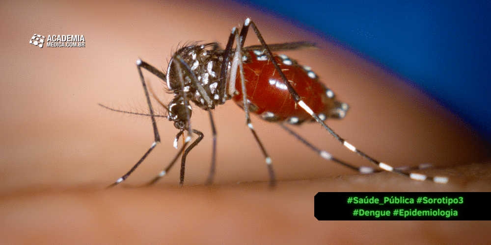 Estudo alerta para o ressurgimento do sorotipo 3 do vírus da dengue no Brasil