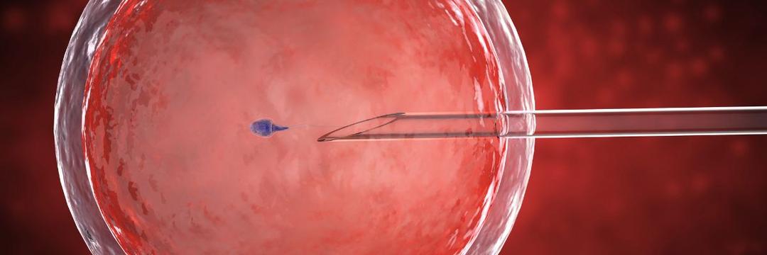 Nova tecnologia para seleção de esperma pode aumentar taxas de sucesso da fertilização in vitro