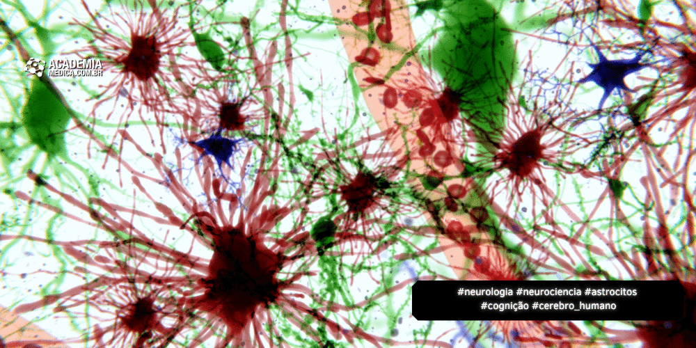 Neurociência: O Papel dos Astrócitos no Comportamento e Doenças do Cérebro