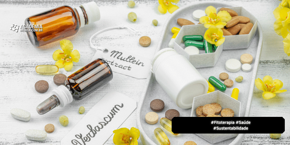 A Química Verde e a Modernização da Fitoterapia – O Potencial dos DESs