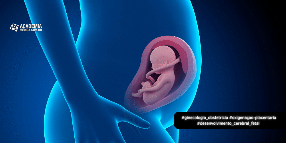 Função Placentária no Desenvolvimento Cerebral Fetal