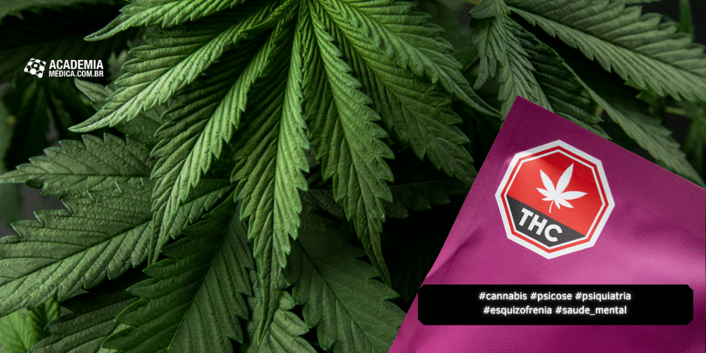 "Cannabis Moderna": Como o THC Elevado Ameaça a Saúde Mental