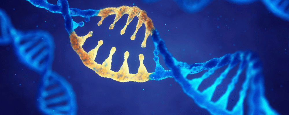 Sociedade Brasileira de Genética se  posiciona sobre o termo "modulação epigenética"