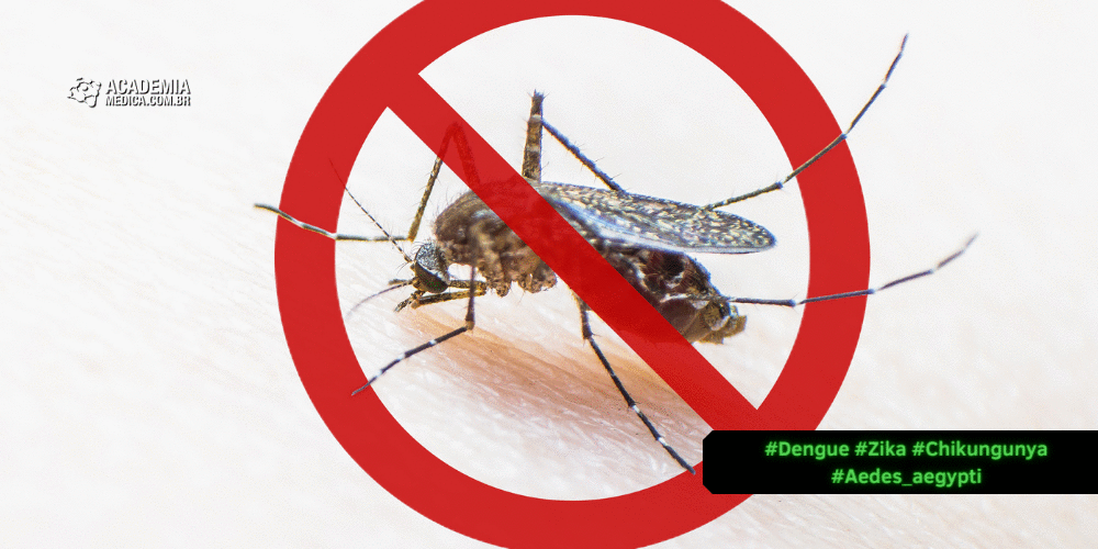 Aumento nos casos de dengue, Zika e chikungunya no Brasil: Campanha Nacional de Combate às Arboviroses é lançada pelo Ministério da Saúde