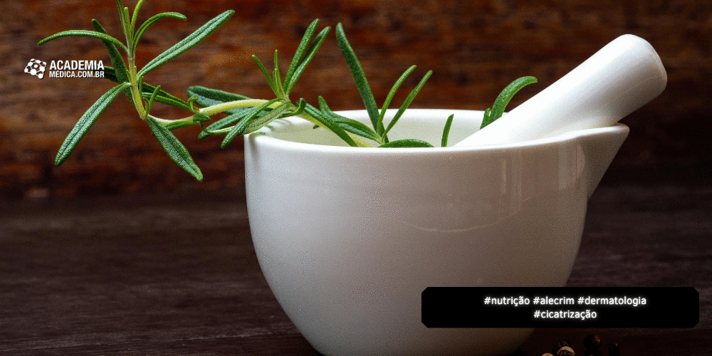 Pesquisa Testa Efeito do Alecrim na Regeneração da Pele
