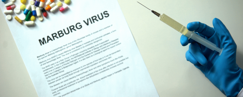 Atualização da   Doença do vírus de  Marburg