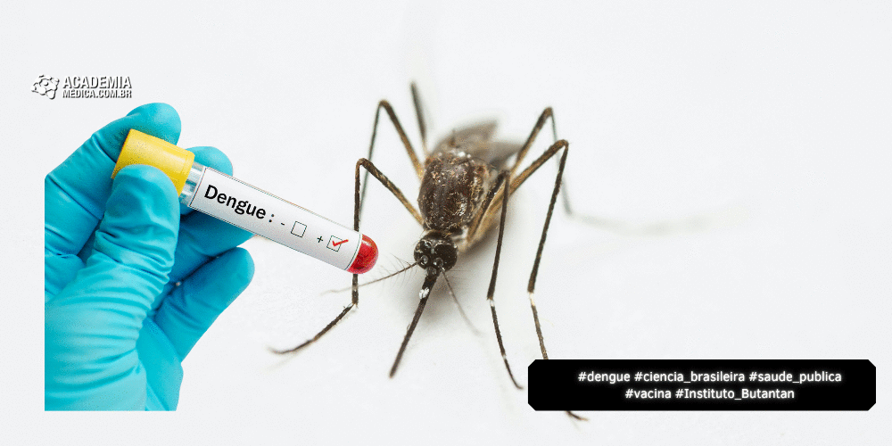 Ciência Brasileira Expõe Caminho para Vencer a Dengue