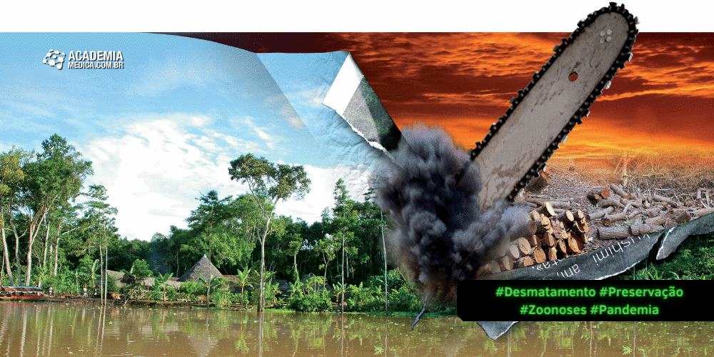 A Ameaça de Pandemias Futuras: O Alerta para a Preservação da Floresta Amazônica