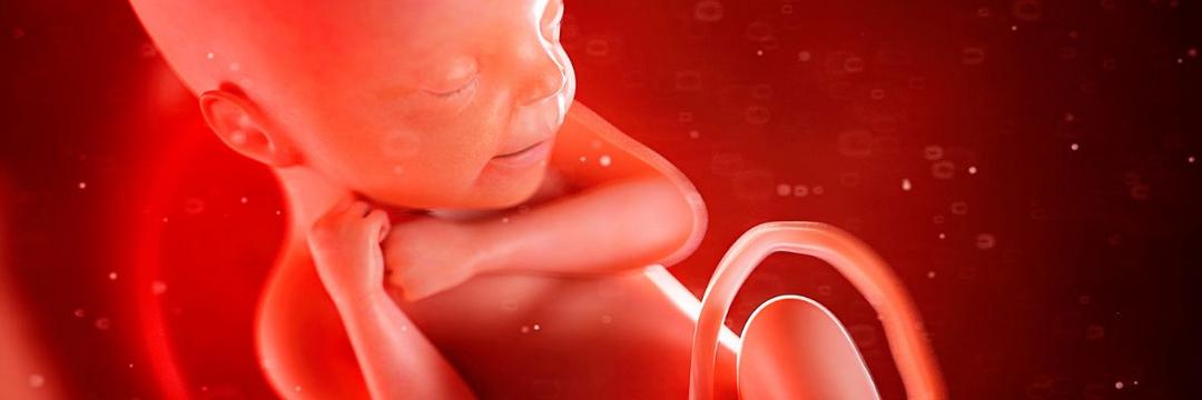 Partículas de poluição atravessam placenta e atingem cérebro e pulmões de bebês dentro do útero