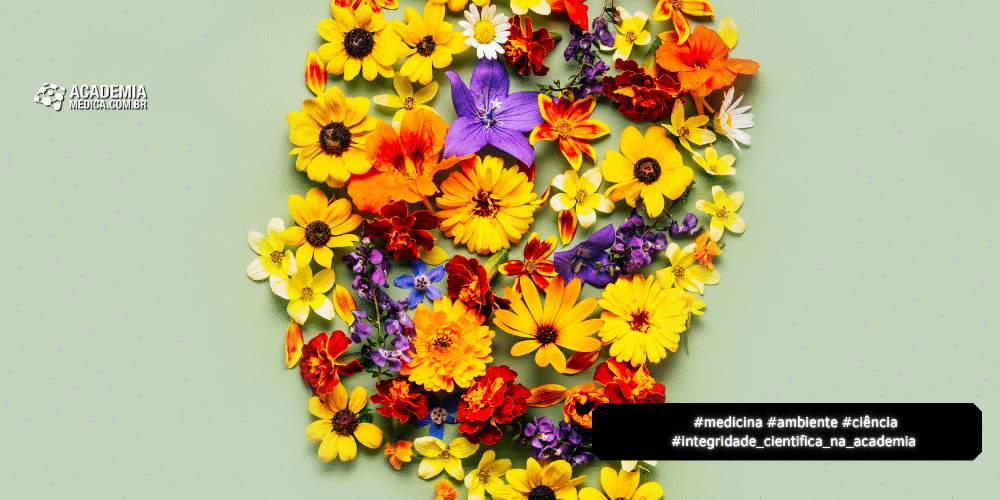 ESCOLA SAUDÁVEL: Políticas que Funcionam