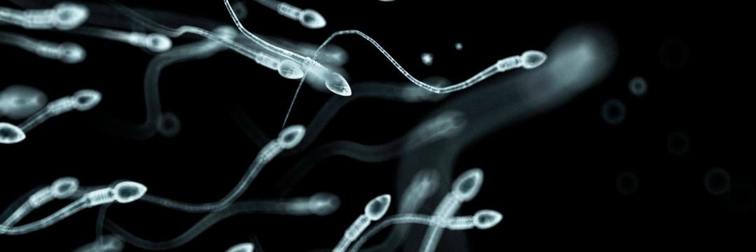 Empresa anuncia novo método contraceptivo masculino com uso de hidrogel injetável