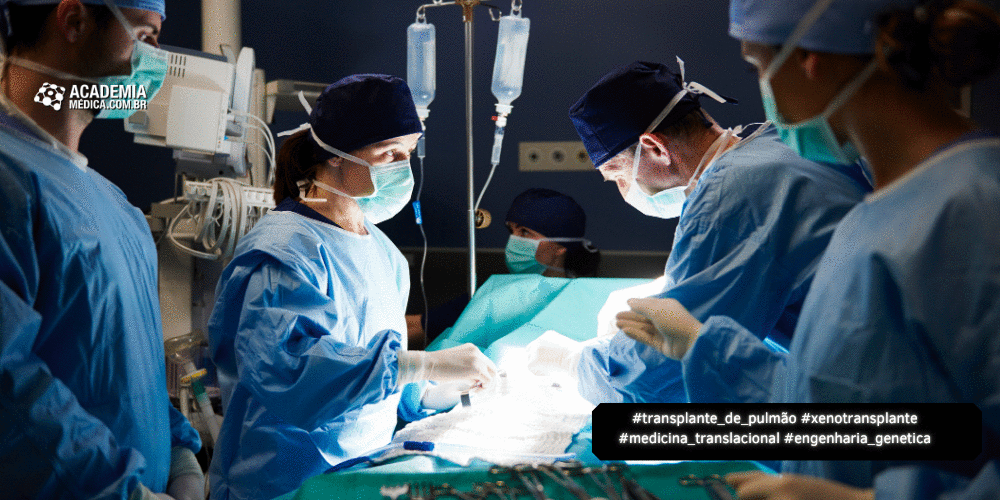 Primeiro Transplante de Pulmão de Porco em Humano