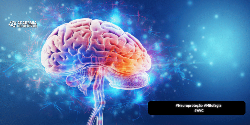 Neuroproteção Natural – O Papel da Mitofagia na Recuperação Pós-AVC