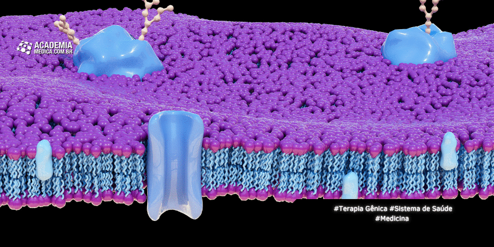 MEMBRANA AMNIÓTICA: Um "Band-Aid" Biológico Avançado