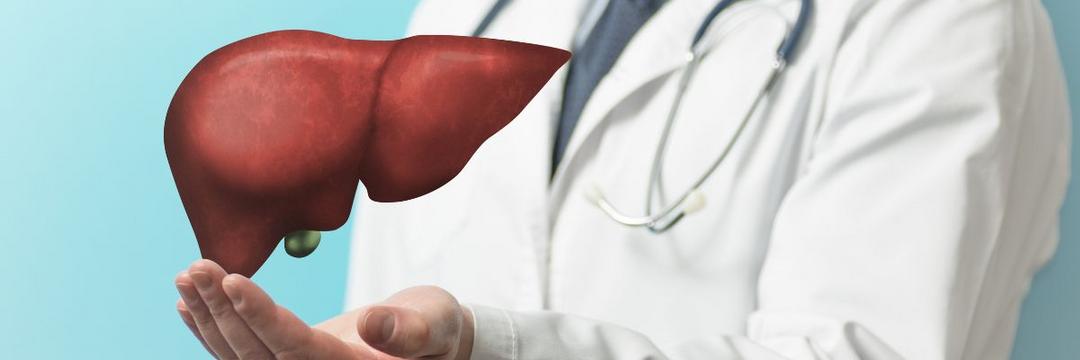 Transplante de fígado passa a ter cobertura obrigatória por planos de saúde