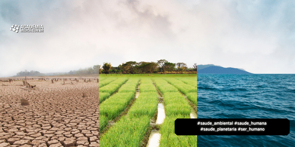 Impactos Irreversíveis do Clima na Saúde Humana