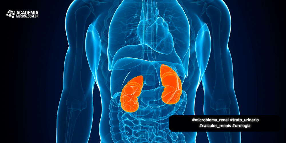 Microbioma Renal