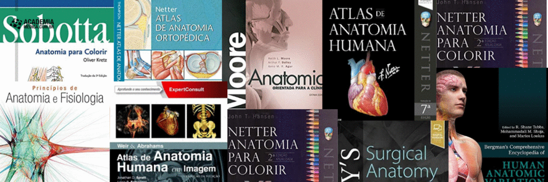 14 livros de ANATOMIA